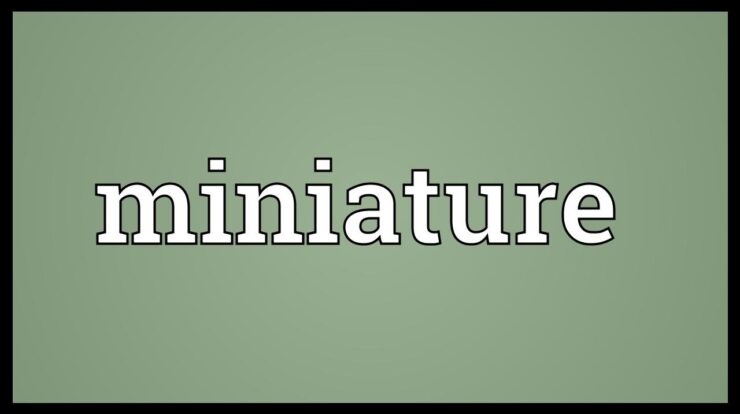 Mini definition